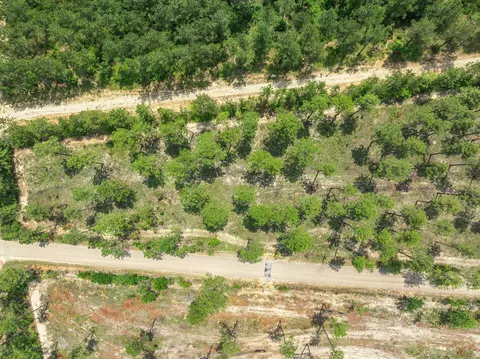 3 Acres Courtney Rd, Lumberton, MS 39455 photo 5
