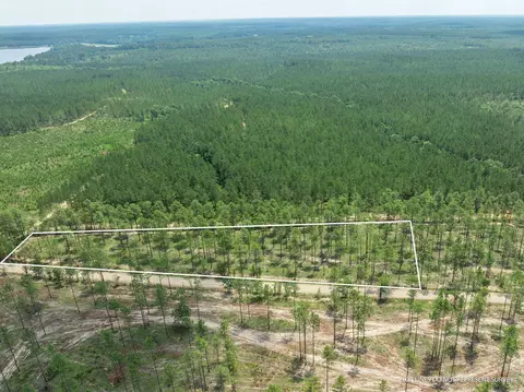 3 Acres Courtney Rd, Lumberton, MS 39455 photo 2