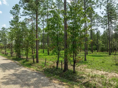 3 Acres Courtney Rd, Lumberton, MS 39455 photo 4