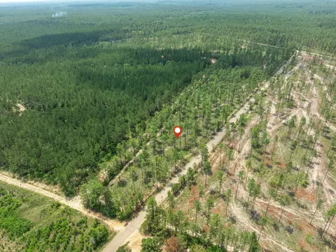 3 Acres Courtney Rd, Lumberton, MS 39455 photo 6