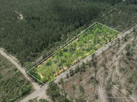 3 Acres Courtney Rd, Lumberton, MS 39455