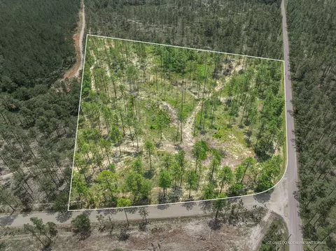 6 Acre Crown Zellerback Rd, Lumberton, MS 39455