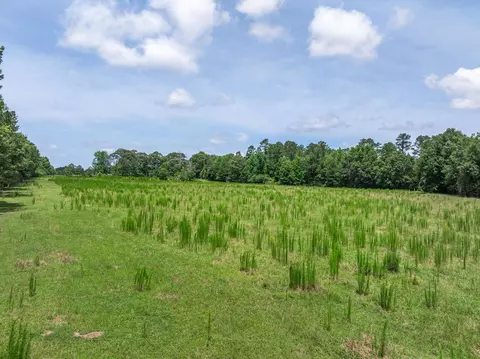 Other - 588 Wpa Rd, Sumrall, MS 39482 photo 4 of 8