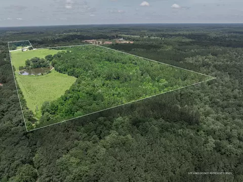 View/Area - 588 Wpa Rd, Sumrall, MS 39482 photo 8 of 18