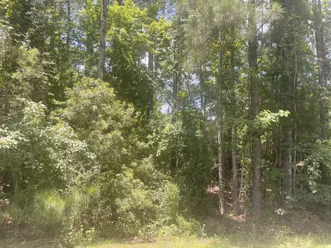 lot10 Courtland Dr, Hattiesburg, MS 39402