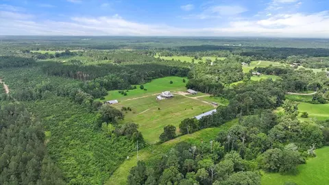 View/Area - 849 Athens Rd, Mendenhall, MS 39114 photo 7 of 11