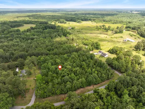 1 7 Acres J Barnes Rd, Purvis, MS 39475 photo 4