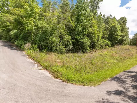 1 7 Acres J Barnes Rd, Purvis, MS 39475 photo 3