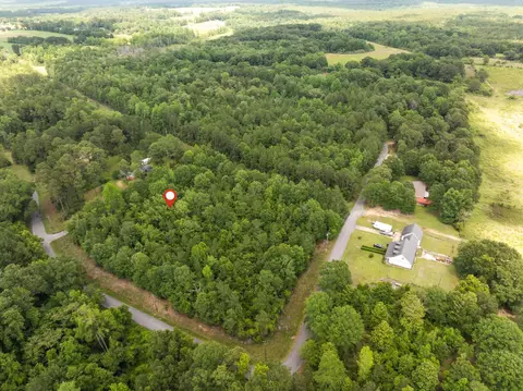 1 7 Acres J Barnes Rd, Purvis, MS 39475 photo 5
