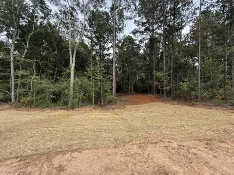 Exterior - 44 Ratcliff Rd, Sumrall, MS 39482 photo 6 of 8