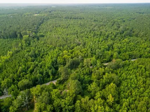 00 Oak Grove Rd, Silver Creek, MS 39663
