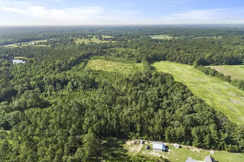 228 Max White Rd, Purvis, MS 39475 photo 13