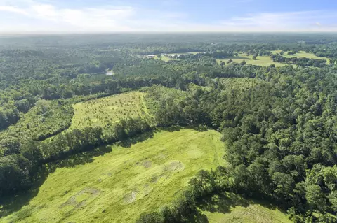 228 Max White Rd, Purvis, MS 39475 photo 18