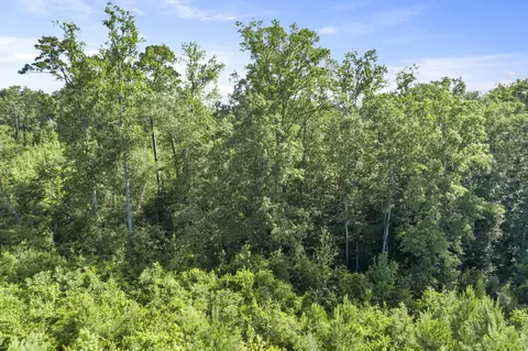 228 Max White Rd, Purvis, MS 39475 photo 12