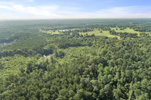 228 Max White Rd, Purvis, MS 39475 photo 16