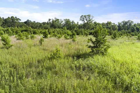 228 Max White Rd, Purvis, MS 39475 photo 10
