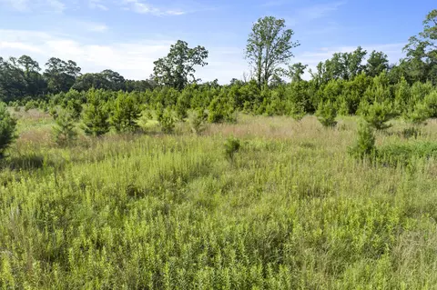 228 Max White Rd, Purvis, MS 39475 photo 20