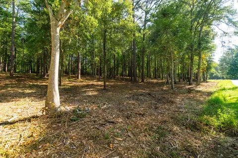 0 Magellan Rd, Hattiesburg, MS 39402
