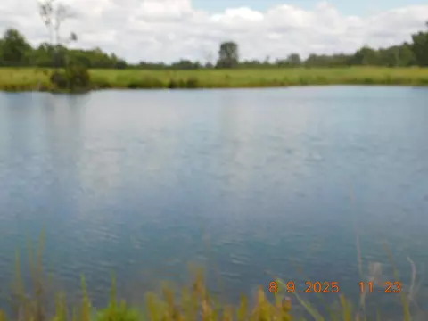 223 Ward Loop, Columbia, MS 39429 photo 18