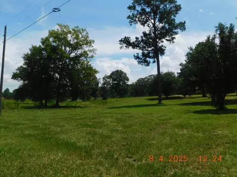 223 Ward Loop, Columbia, MS 39429 photo 21