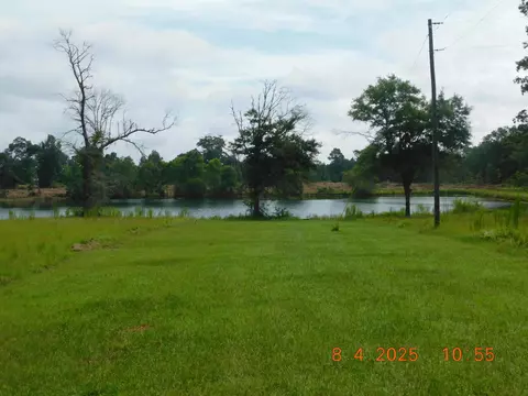 223 Ward Loop, Columbia, MS 39429 photo 17