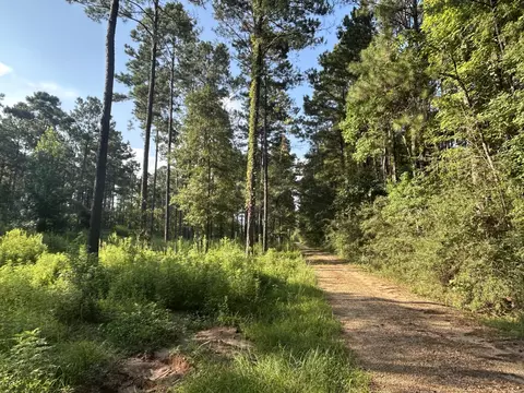 64 Dewey Smith Rd, Lumberton, MS 39455