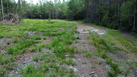 00 Vernal River Rd, Lucedale, MS 39452 photo 15