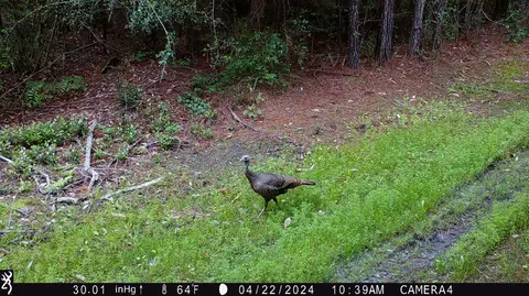 00 Vernal River Rd, Lucedale, MS 39452 photo 2