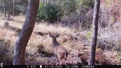 00 Vernal River Rd, Lucedale, MS 39452 photo 3
