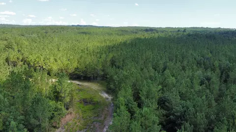 00 Vernal River Rd, Lucedale, MS 39452 photo 16