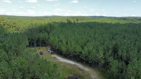 00 Vernal River Rd, Lucedale, MS 39452 photo 9