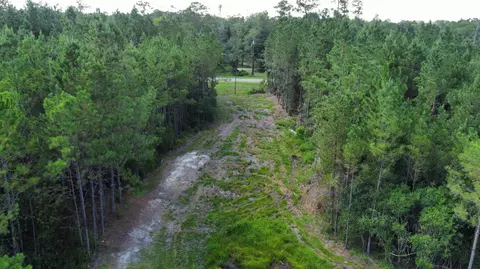 00 Vernal River Rd, Lucedale, MS 39452 photo 5