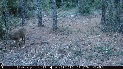 00 Vernal River Rd, Lucedale, MS 39452