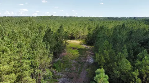 00 Vernal River Rd, Lucedale, MS 39452 photo 14