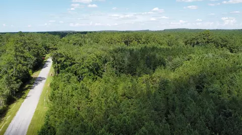 00 Vernal River Rd, Lucedale, MS 39452 photo 8