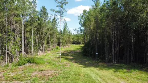 00 Vernal River Rd, Lucedale, MS 39452 photo 17