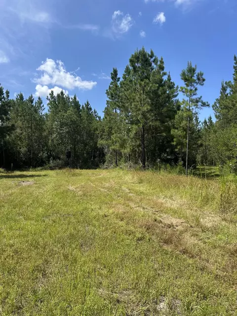 00 Vernal River Rd, Lucedale, MS 39452 photo 10