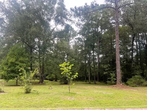 Exterior - 8 Henrys Pl, Purvis, MS 39475 photo 6 of 7
