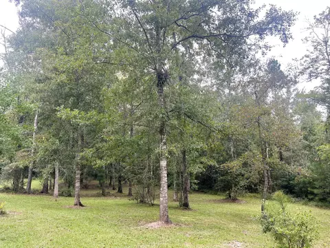 Exterior - 8 Henrys Pl, Purvis, MS 39475 photo 7 of 7
