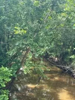 0 Ms-512, Quitman, MS 39355 photo 4