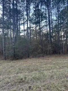 0 Ms-512, Quitman, MS 39355 photo 10