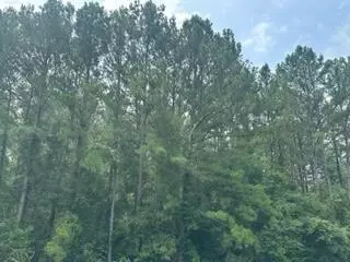0 Ms-512, Quitman, MS 39355 photo 2