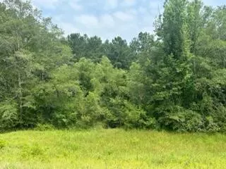 0 Ms-512, Quitman, MS 39355 photo 3