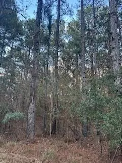 0 Ms-512, Quitman, MS 39355 photo 11