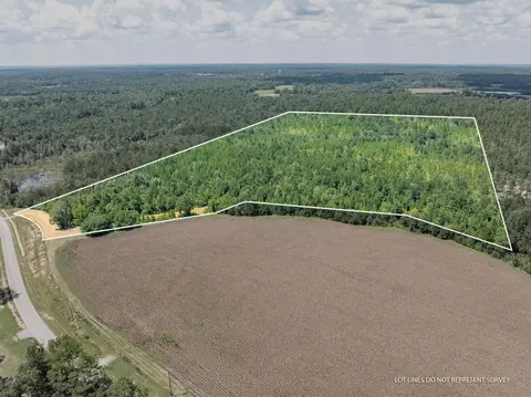 60 Ac Luther Carter Rd, Petal, MS 39465