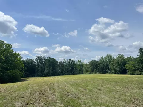 Undisclosed, Purvis, MS 39475 photo 4
