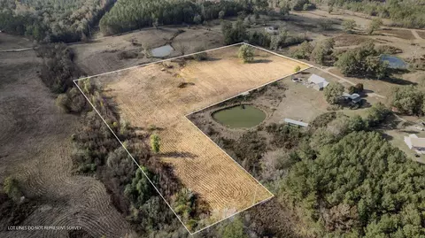 10 10 - Acres Jans Rd, Richton, MS 39476