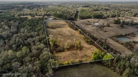 13 62 - Acres Jans Rd, Richton, MS 39476
