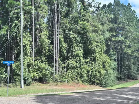 0 Lakeridge Pt, Lumberton, MS 39455