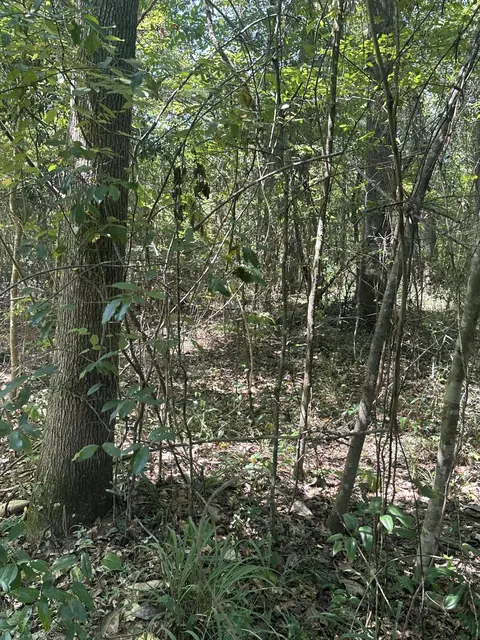 0 Riverwood Blvd # A, Hattiesburg, MS 39401